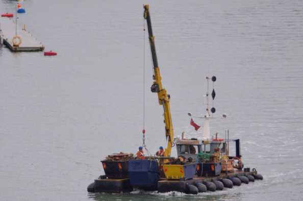 16 February 2021 - 08-49-04

----------------------
Dart Harbour Hercules floating crane